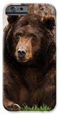 The King Of Tahoe By Brad Scott - Phone Case