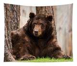 The King Of Tahoe By Brad Scott - Tapestry