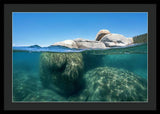 Whale Beach Underwater Split - Framed Print