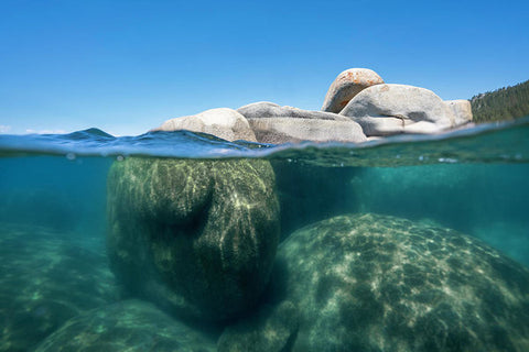 Whale Beach Underwater Split - Art Print