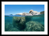 Whale Beach Underwater Split - Framed Print