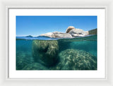 Whale Beach Underwater Split - Framed Print