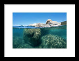 Whale Beach Underwater Split - Framed Print