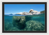 Whale Beach Underwater Split - Framed Print