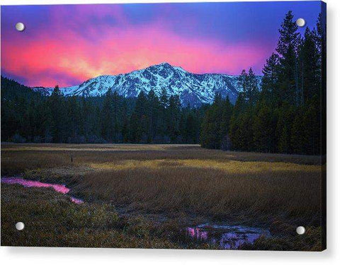 Winter Meadow By Brad Scott - Acrylic Print