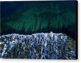 Winter Shores Aerial - Canvas Print-10.000" x 6.625"-Lake Tahoe Prints