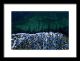 Winter Shores Aerial - Framed Print