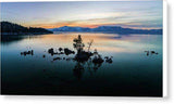 Zephyr Cove Tree Island By Brad Scott - Canvas Print-12.000" x 6.125"-Lake Tahoe Prints